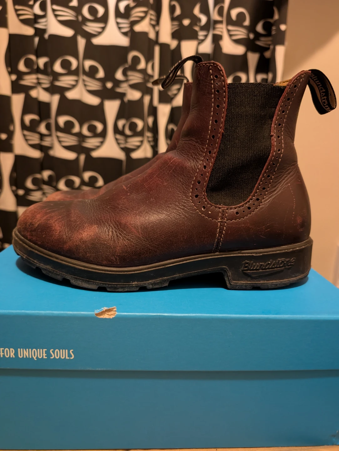 Blundstone Women's High Top In Shiraz Size US 8.5
