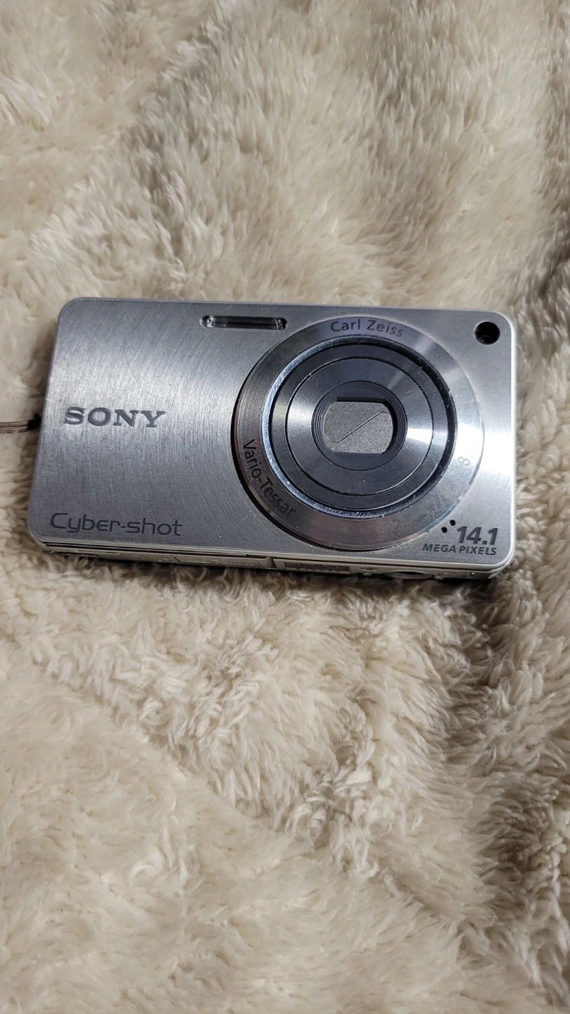 Sony Cyber-shot Digital Camera with Carl Zeiss Lens