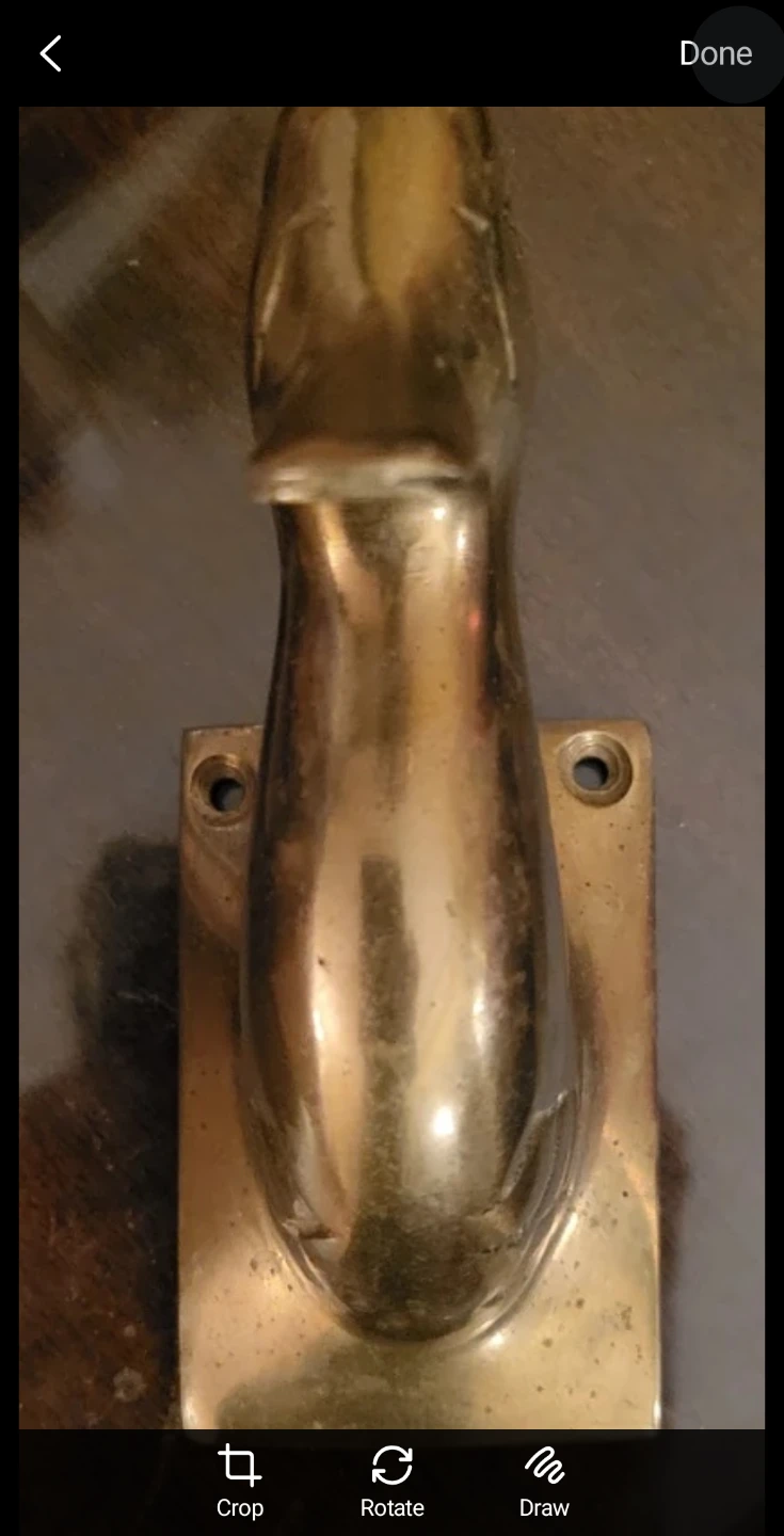 Brass Duck Coat Hook - photo 3