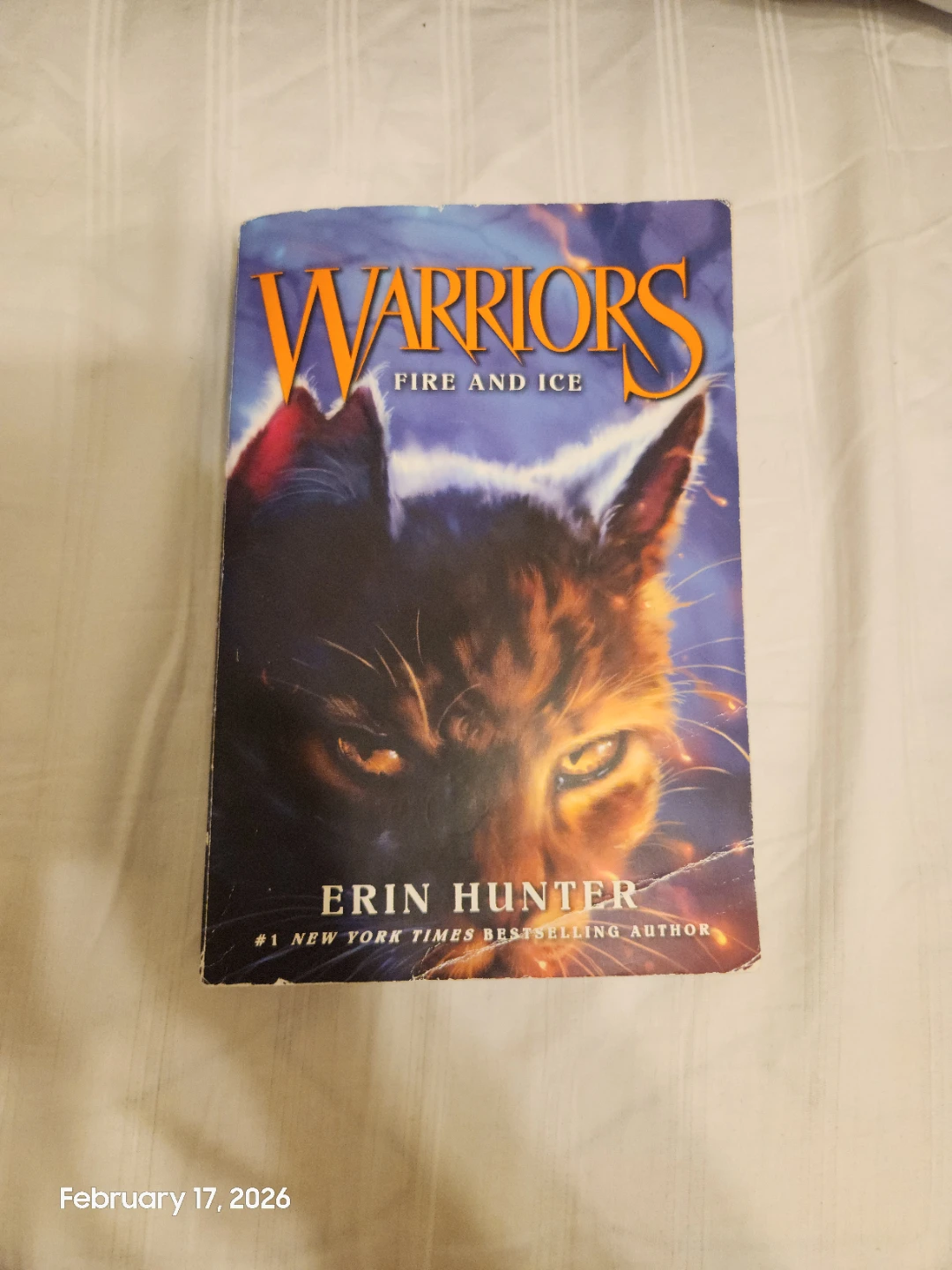 Warriors Book Series by Erin Hunter - photo 3