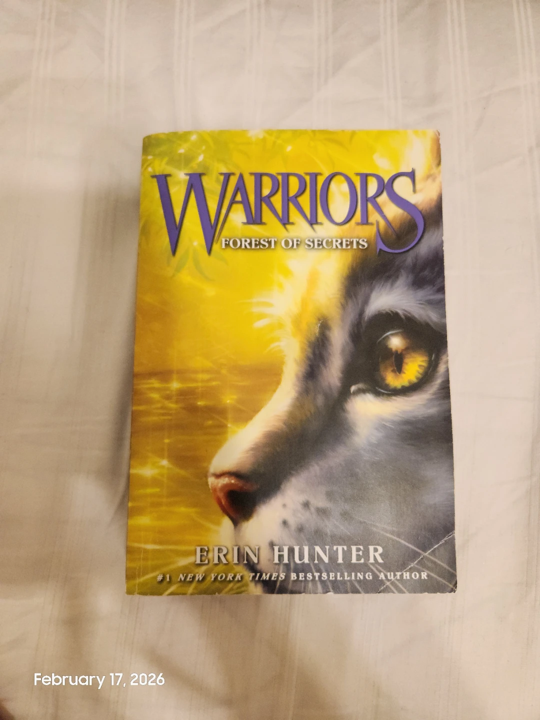 Warriors Book Series by Erin Hunter - photo 4