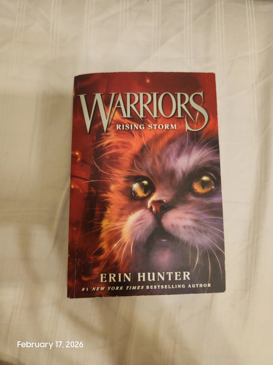 Warriors Book Series by Erin Hunter - photo 5