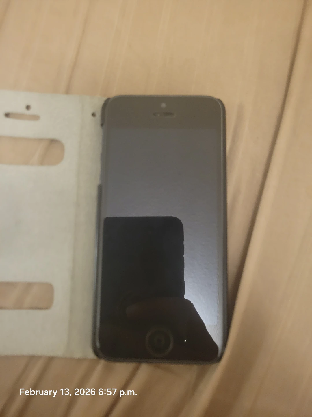 Apple iPhone 5s