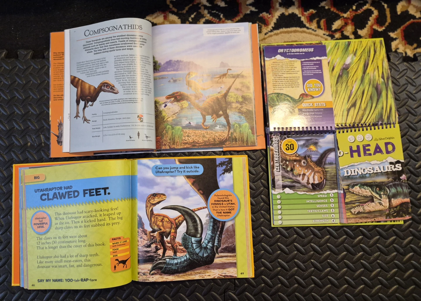 National Geographic Kids, Discovery Dinosaur Books Bundle - photo 2