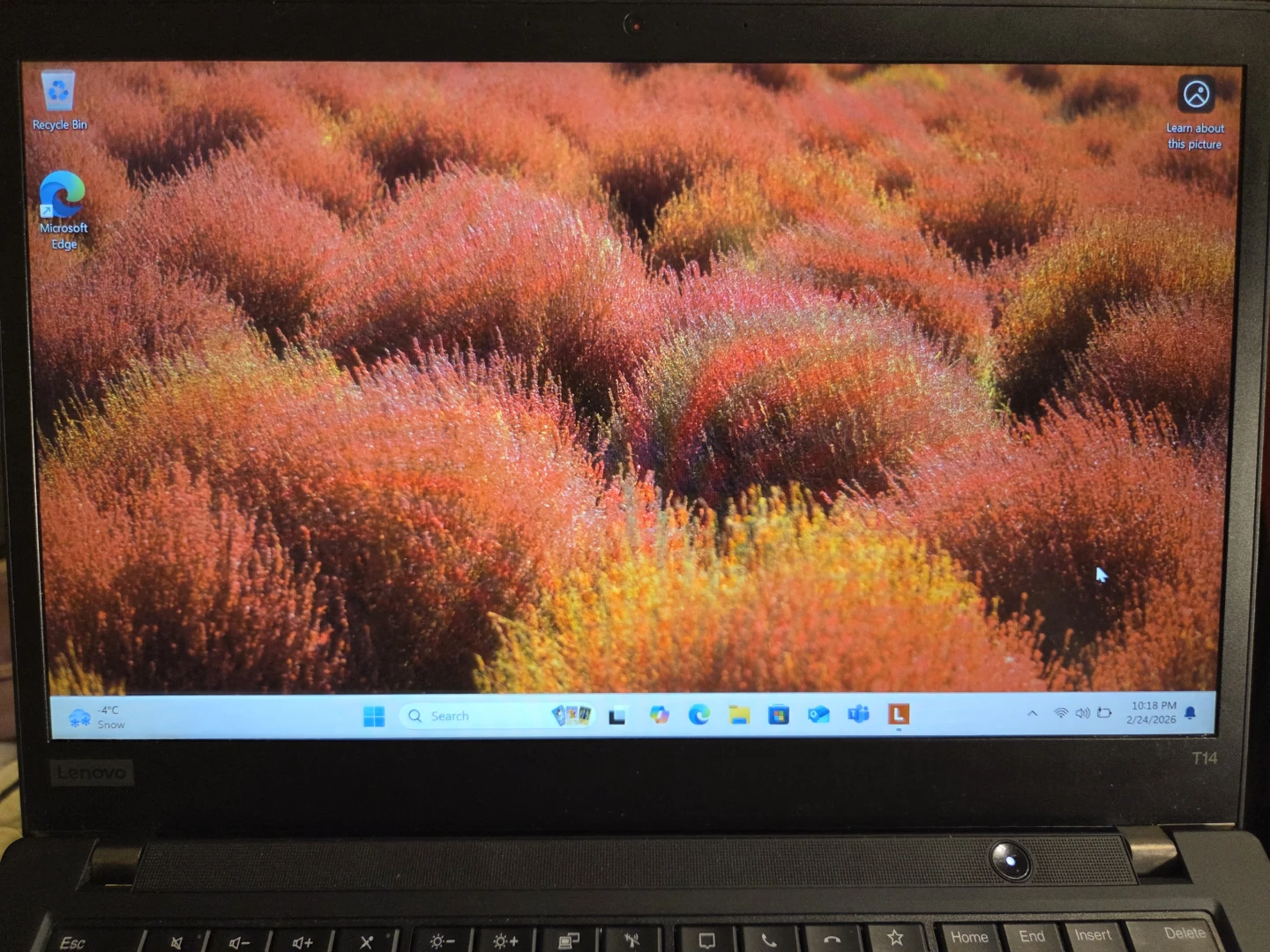 Lenovo ThinkPad T14 Laptop - photo 2