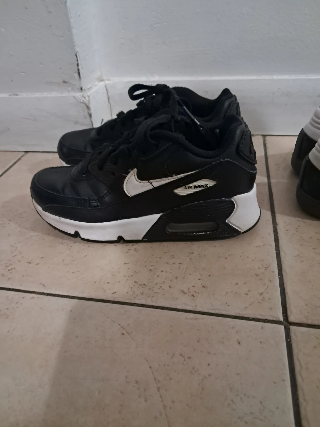 Nike Air Max 90 Shoes