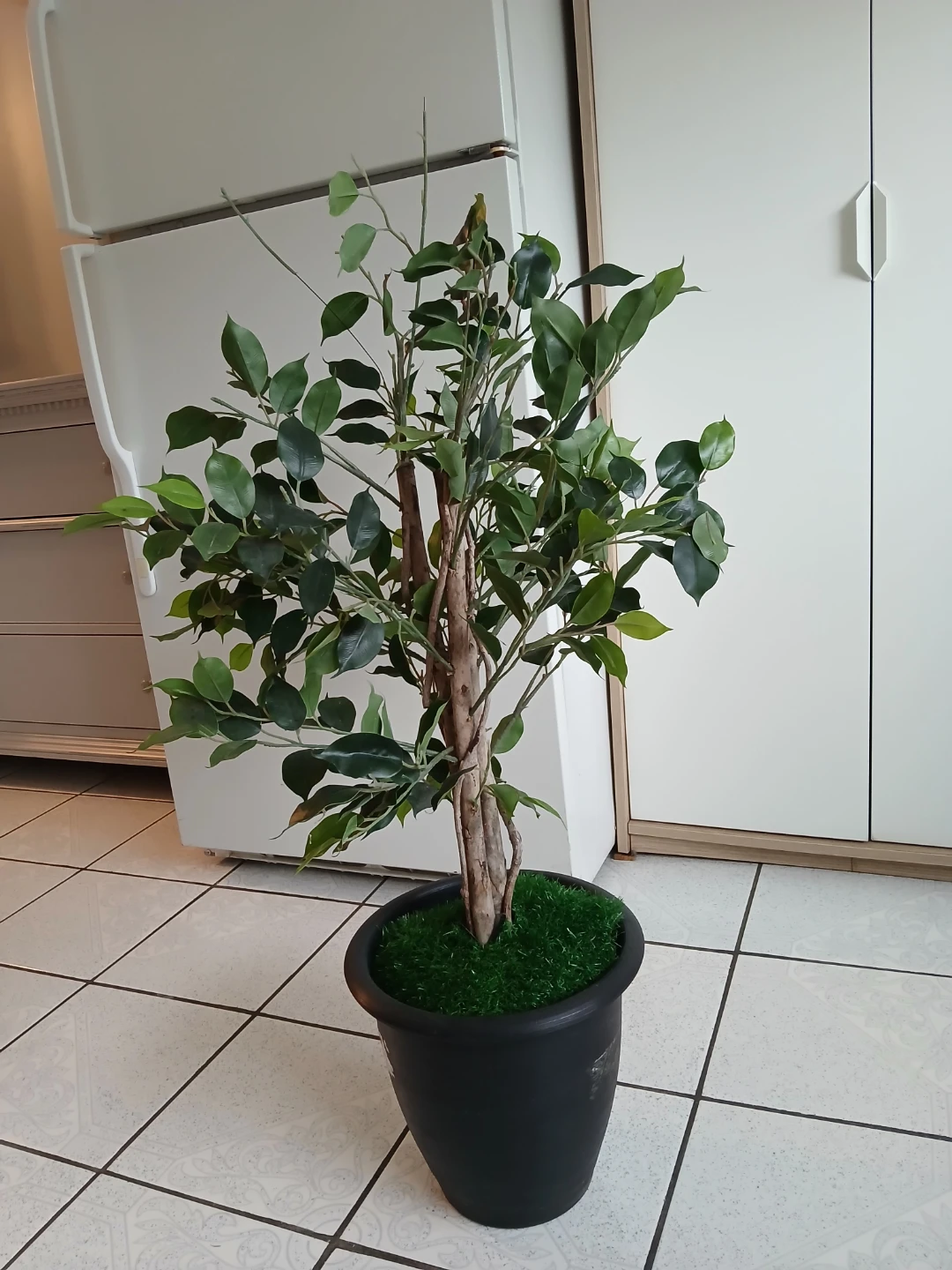 Artificial Ficus Tree in Black Pot - photo 4