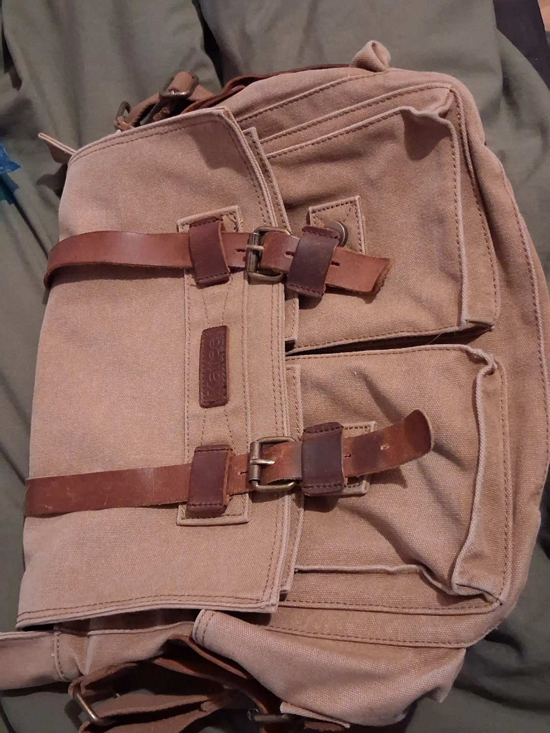 Katlee Canvas Messenger Bag