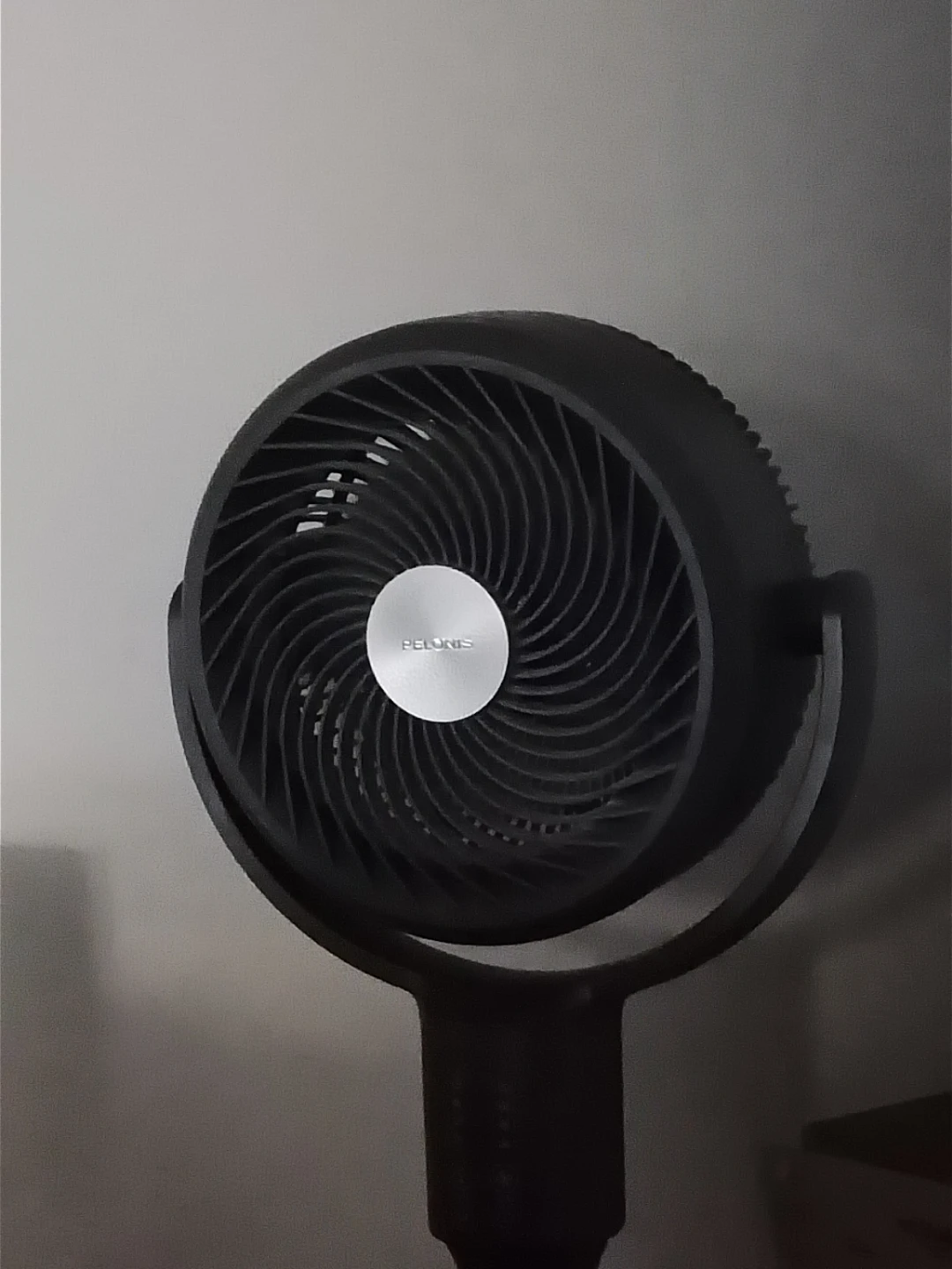PELONIS Standing Fan - photo 2