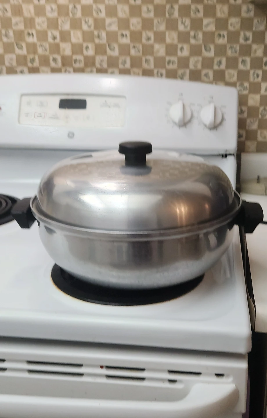 Large Steamer Pot with Lid