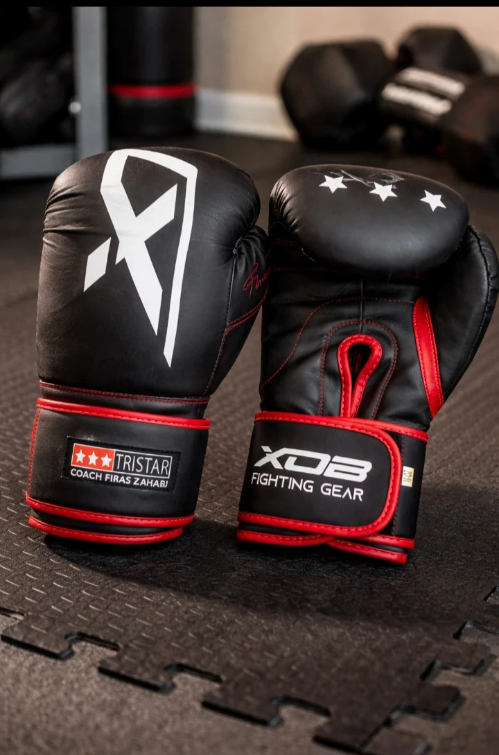 Gants de boxe XDB FIGHTING GEAR TRISTAR 🏆