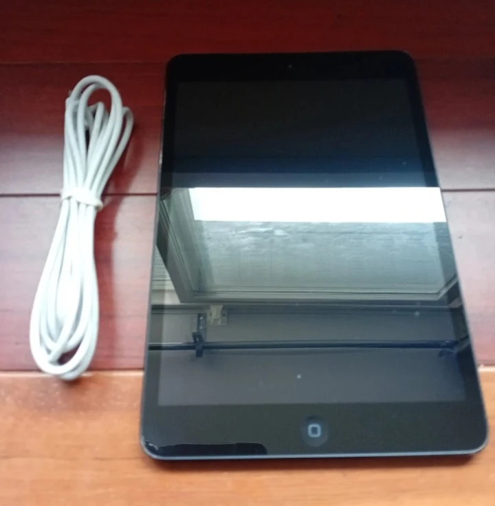 Apple iPad Mini