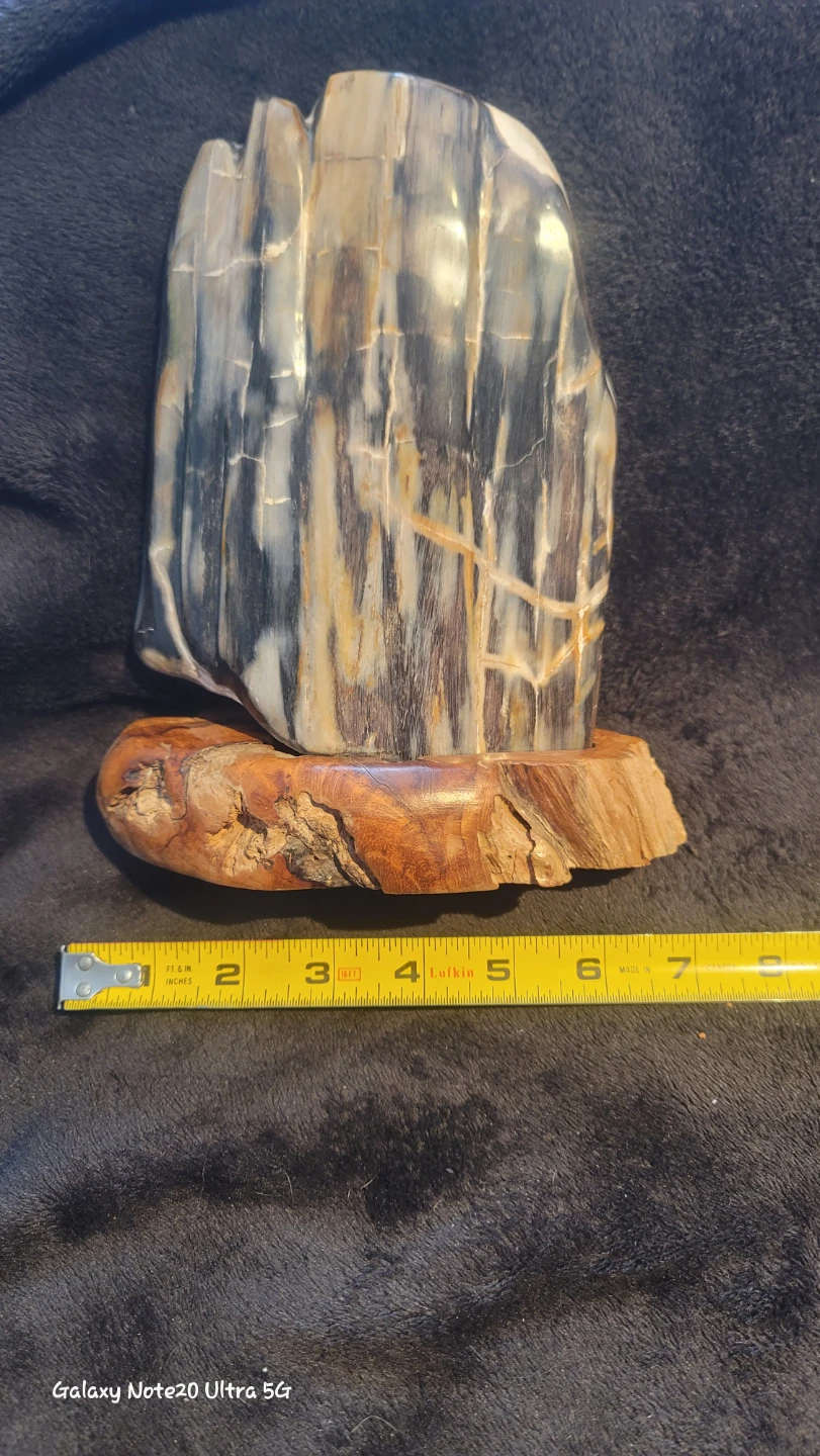Petrified Wood Sculpture with Wooden Base - photo 2