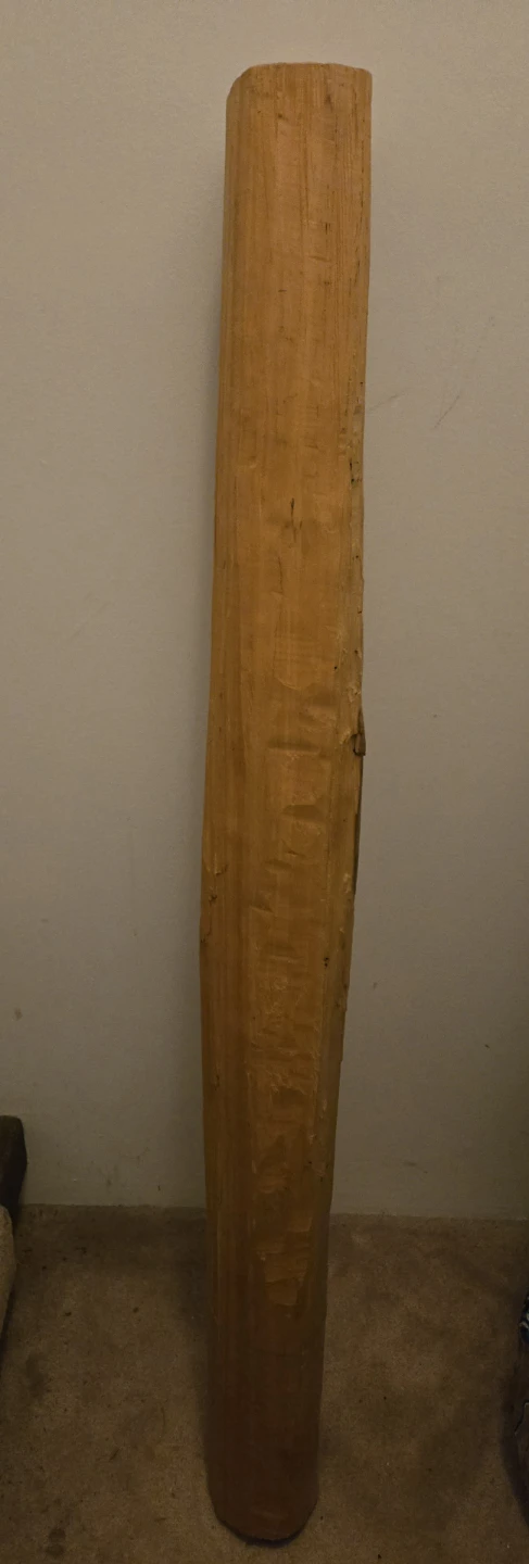 Rare piece of center core yellow cedar - photo 2