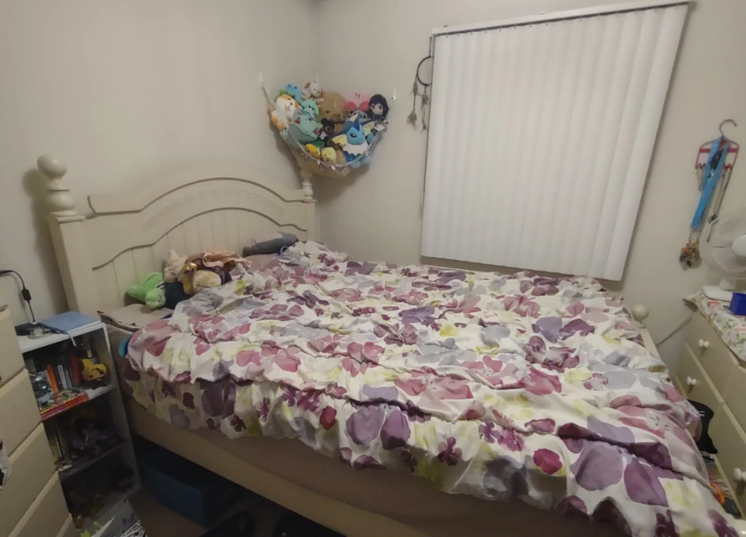 Queen Size Bed with Mattress + Box Spring NEED GONE ASAP