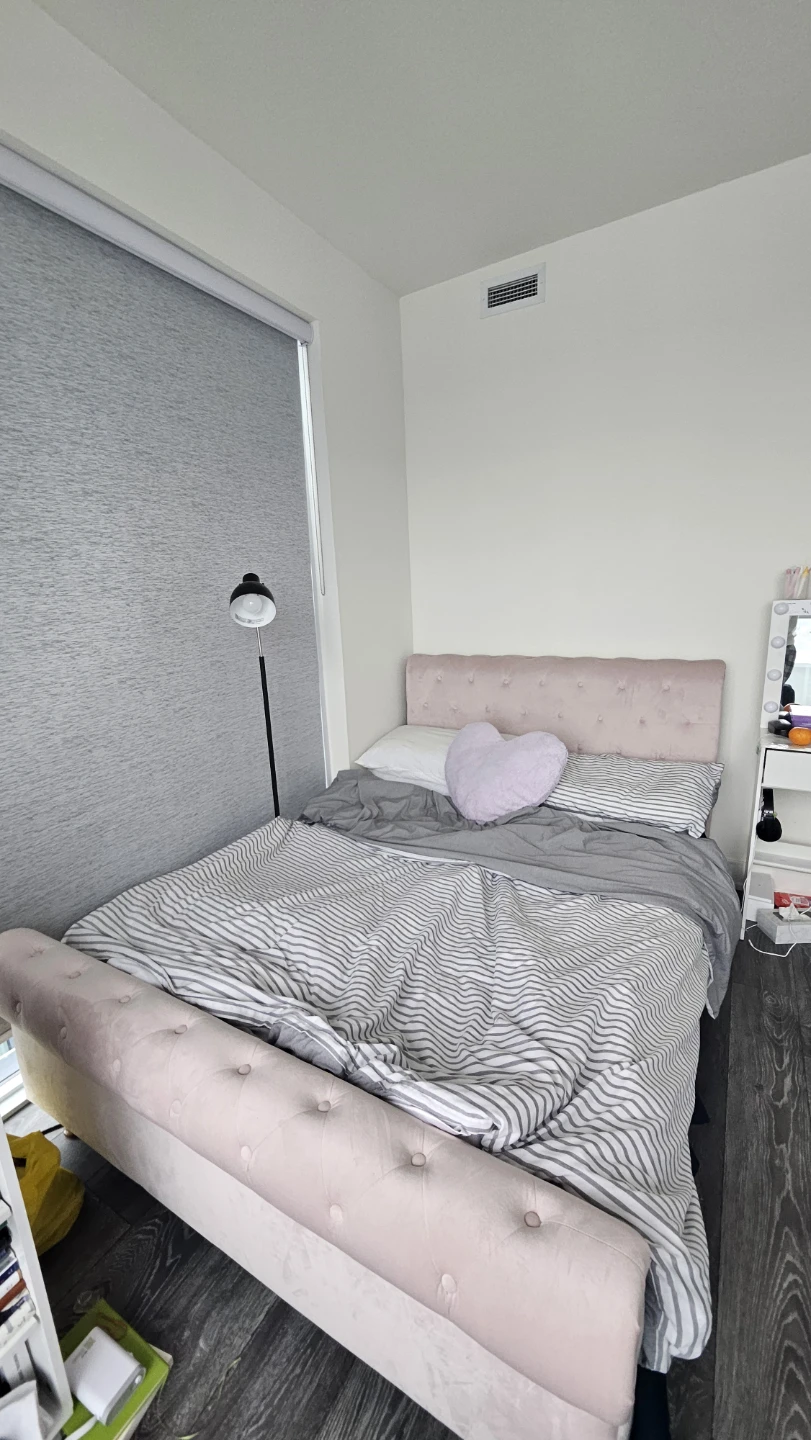 Moving Sale!! Pink Velvet Bed Frame(Double) + mattress