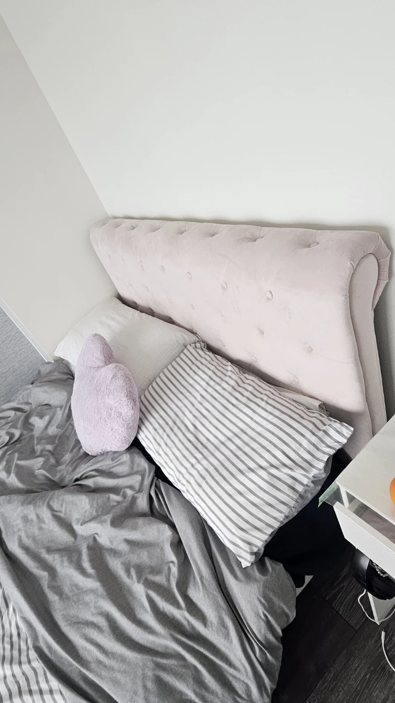 Moving Sale!! Pink Velvet Bed Frame(Double) + mattress - photo 3