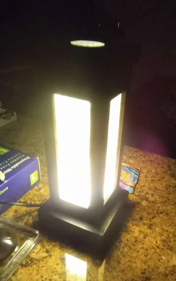 FOSSIL Table Lamp w/Real Fossil Leaf Design