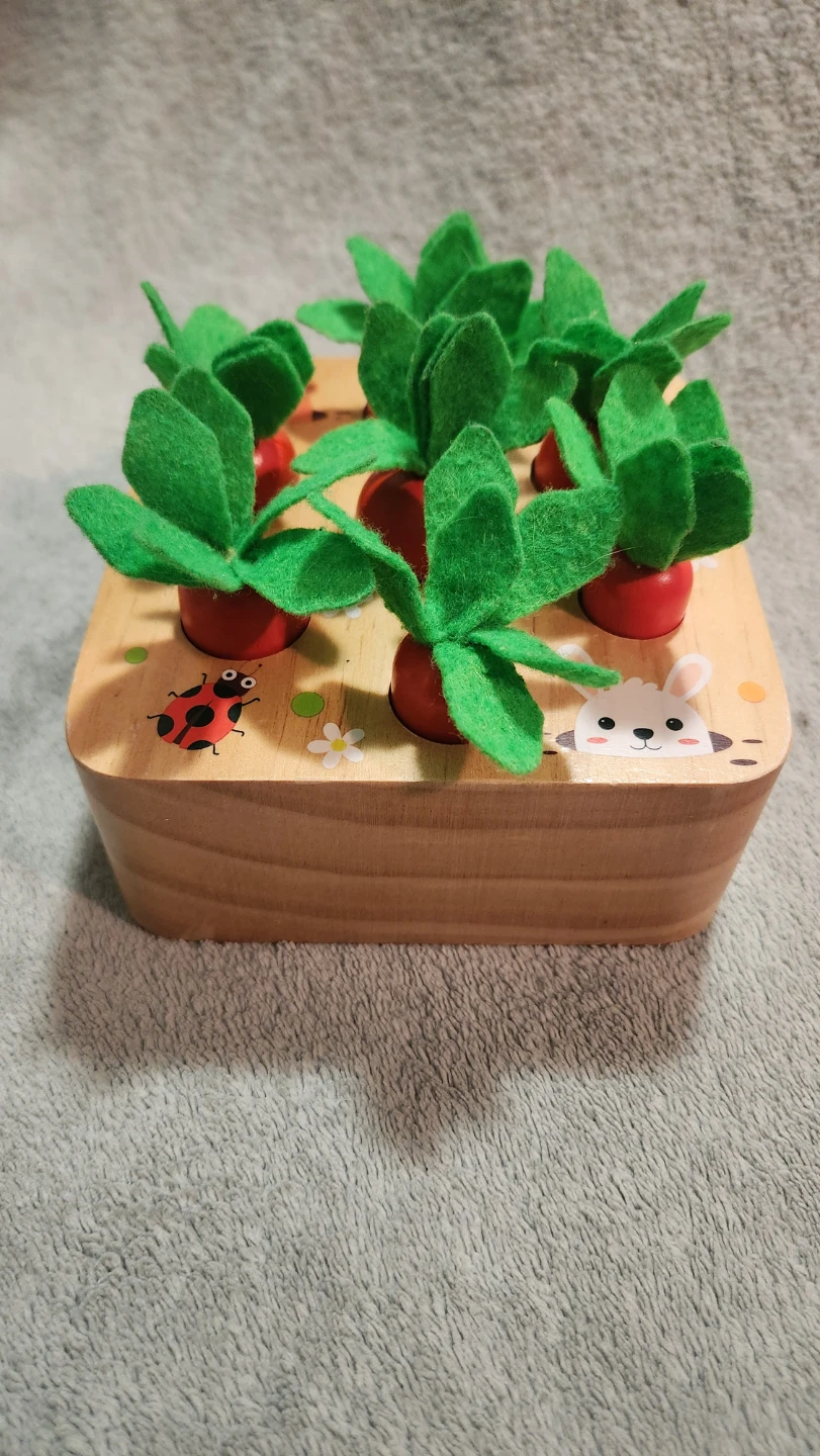 Wooden Montessori toy 🏆