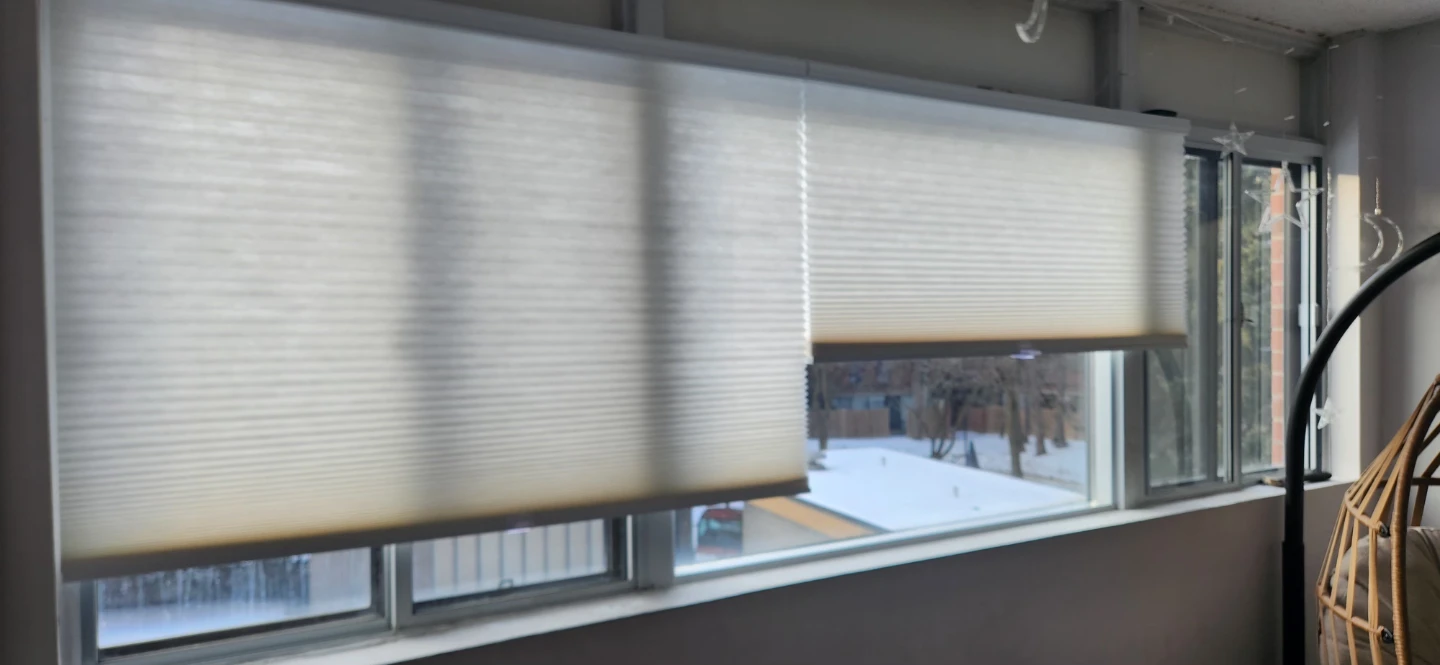 White Cordless Cellular Shades