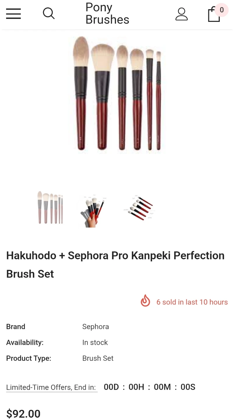 Hakuhodo Brush Set - photo 5