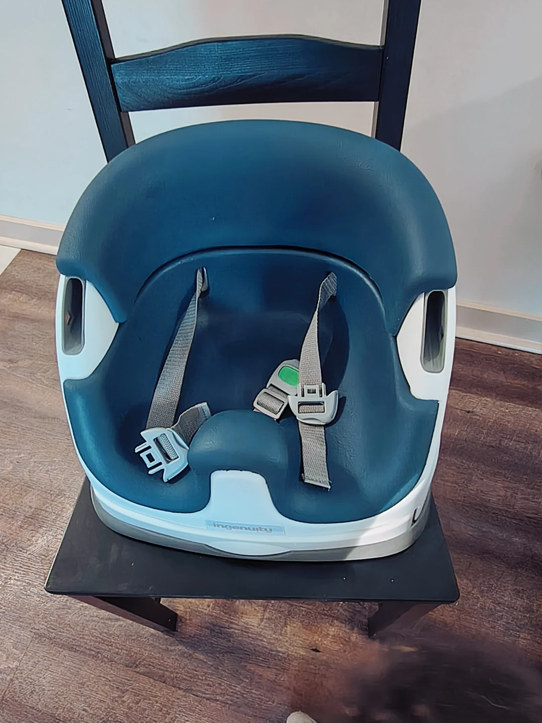 Ingenuity Baby Booster Seat - photo 3