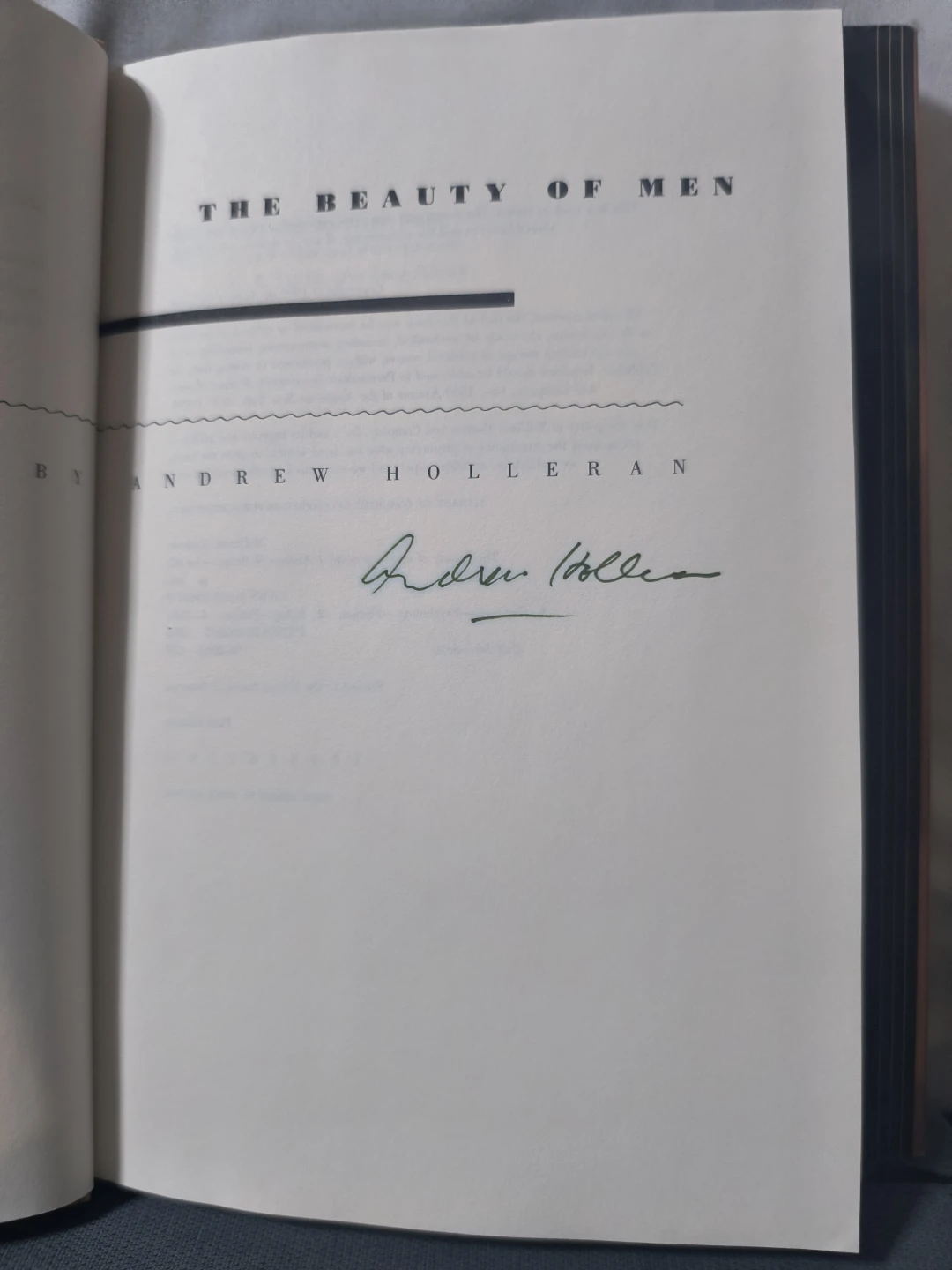 The Beauty of Men by Andrew Holleran (Novel) - photo 5