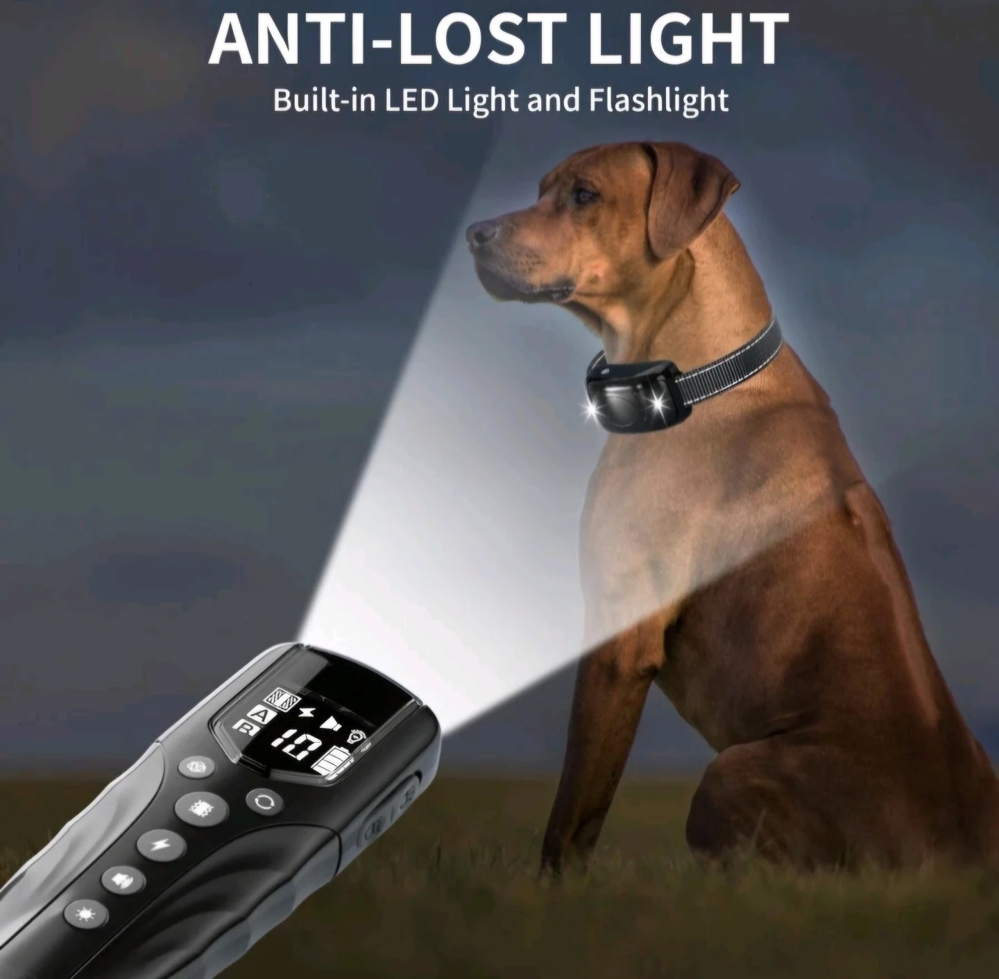T710B Pet Training Collar with Remote - photo 5