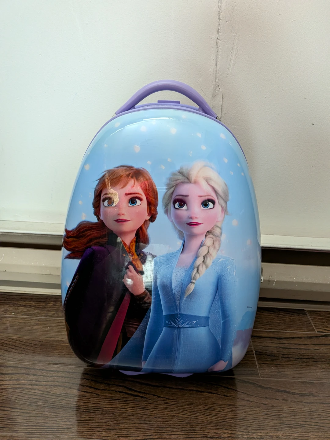 Frozen Kids Luggage Suitcase