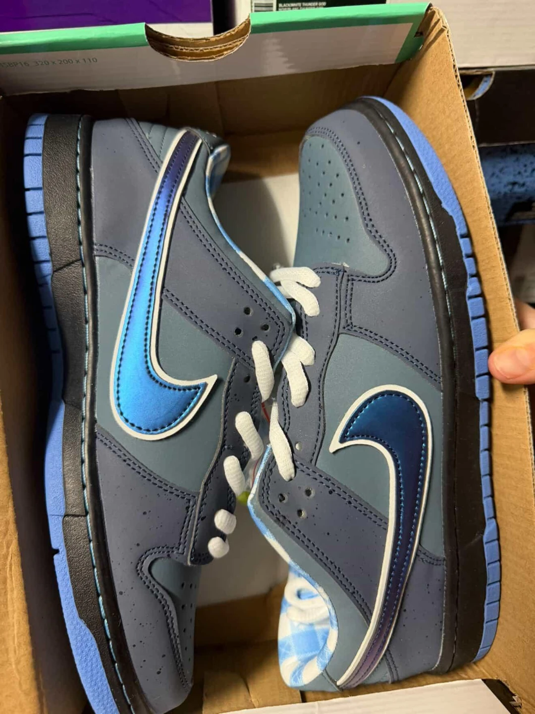 Nike Dunk Low SB 'Shadow' 2023