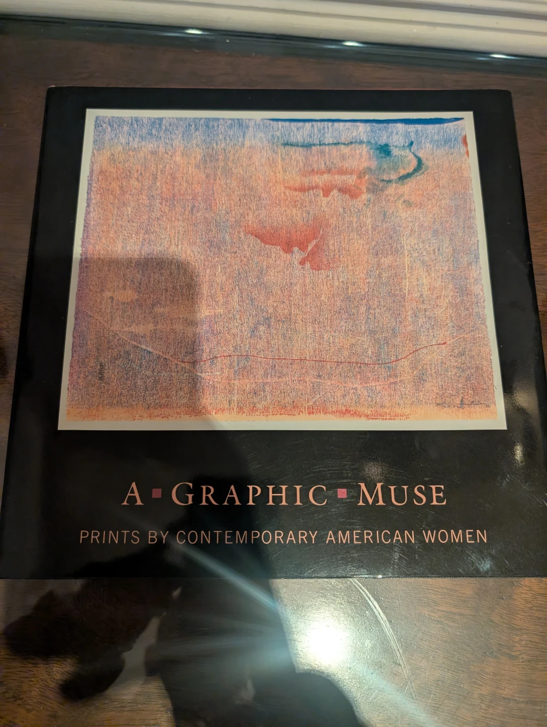 A Graphic Muse: Prints by Contemporary American Women Book