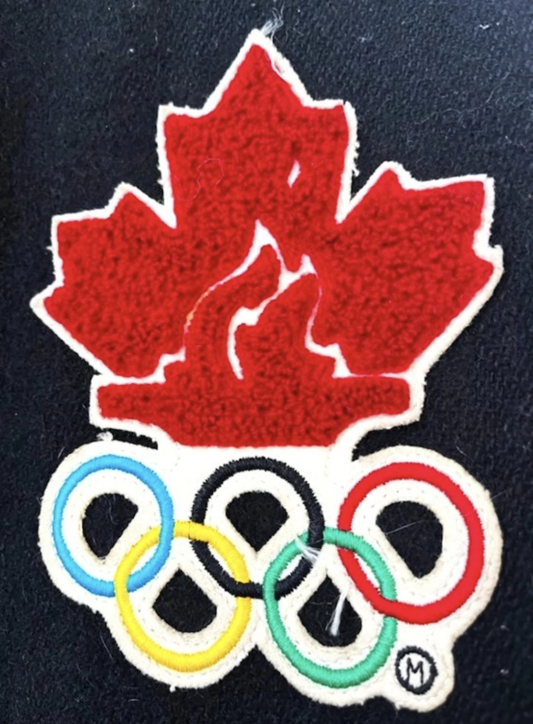Roots Athletics Nagano 1998 Olympic Varsity Jacket - photo 4