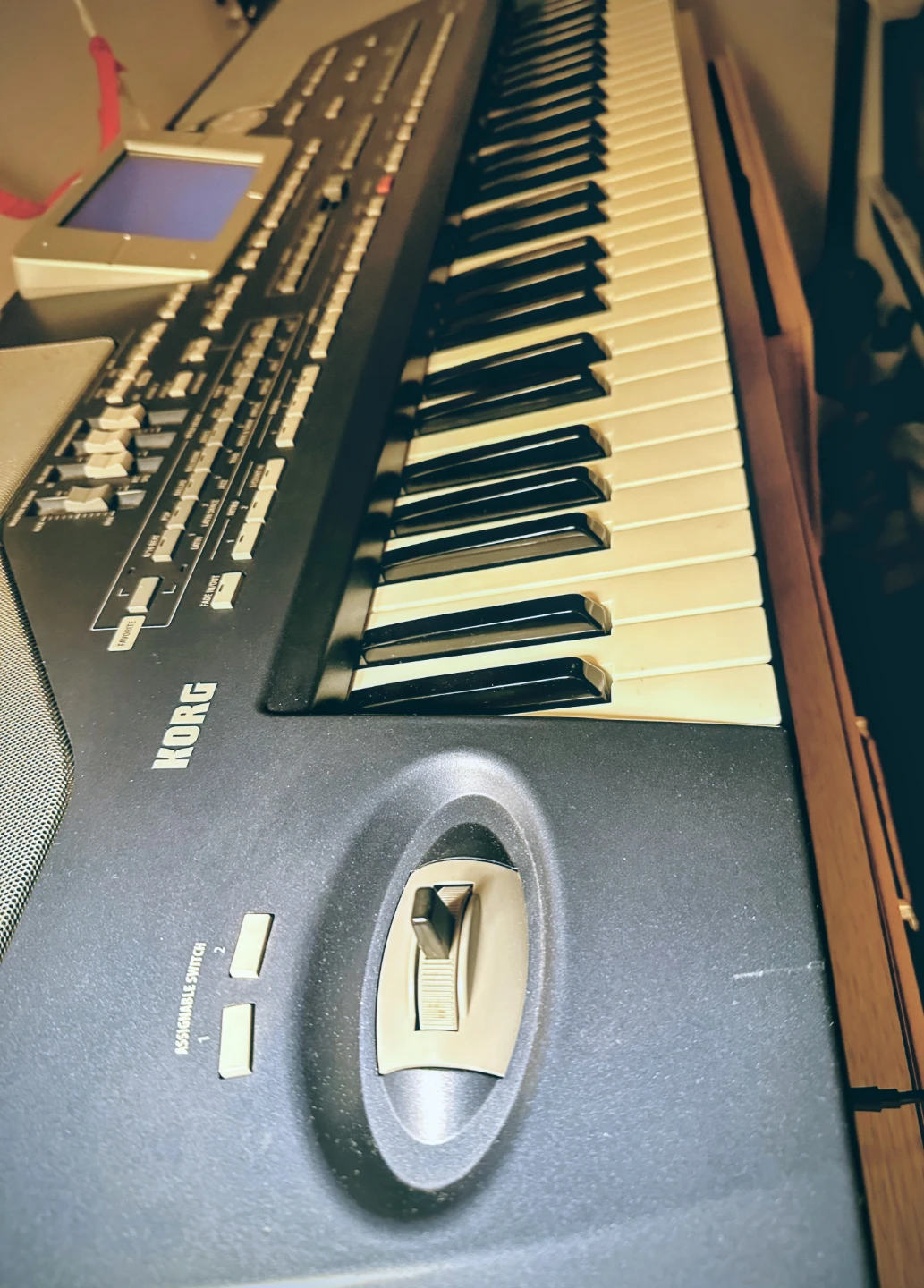 Korg PA800 Arranger Keyboard – Newton Surrey - photo 2