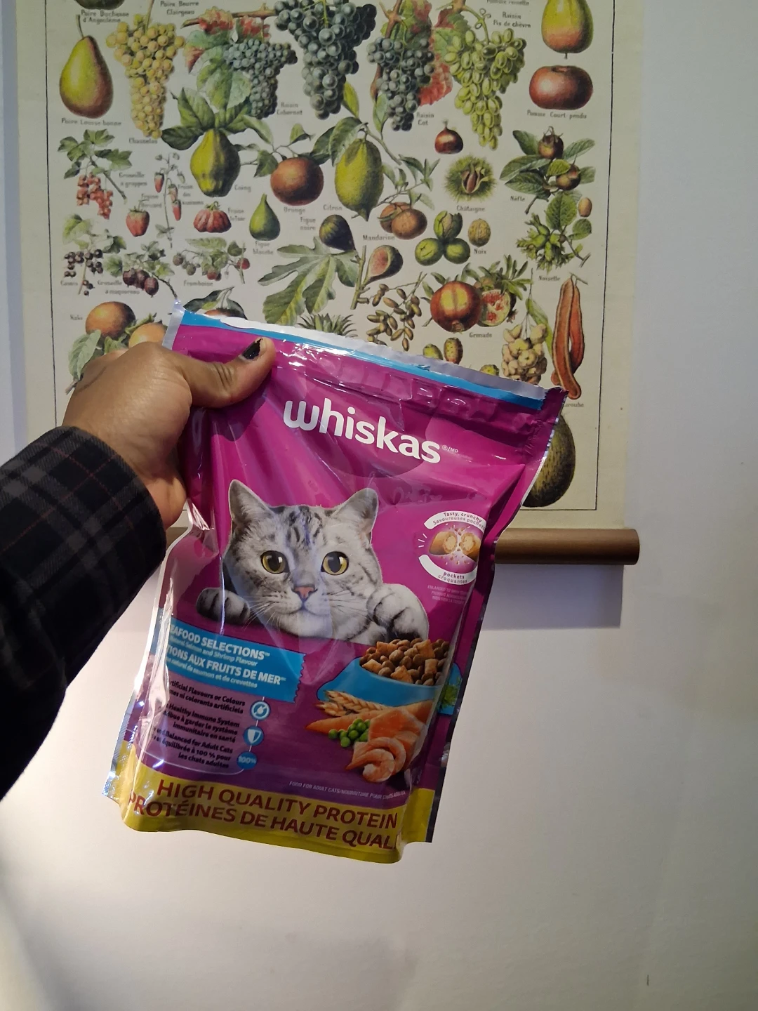 Dry cat food