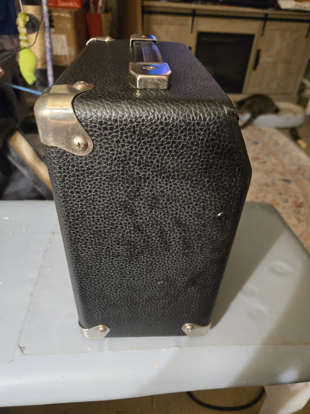 Squier SP-10 Guitar Amplifier - photo 3