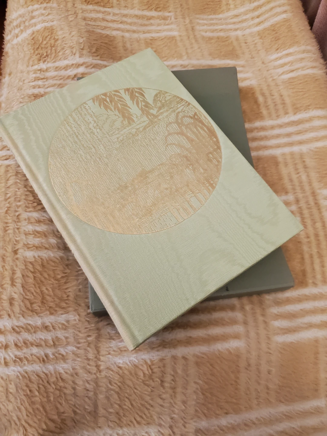 Wind in the Willows  - boxed book
