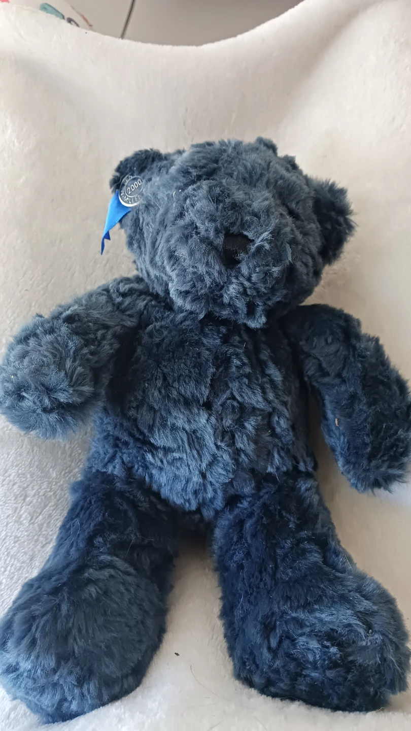 Millennium 2000 Teddy Bear