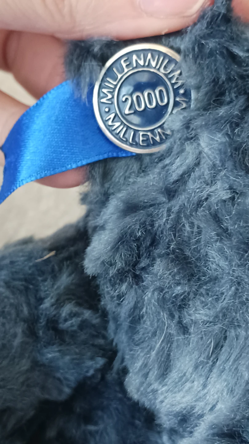 Millennium 2000 Teddy Bear - photo 2