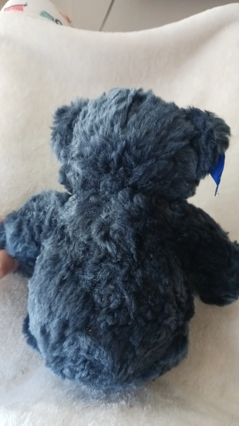 Millennium 2000 Teddy Bear - photo 3