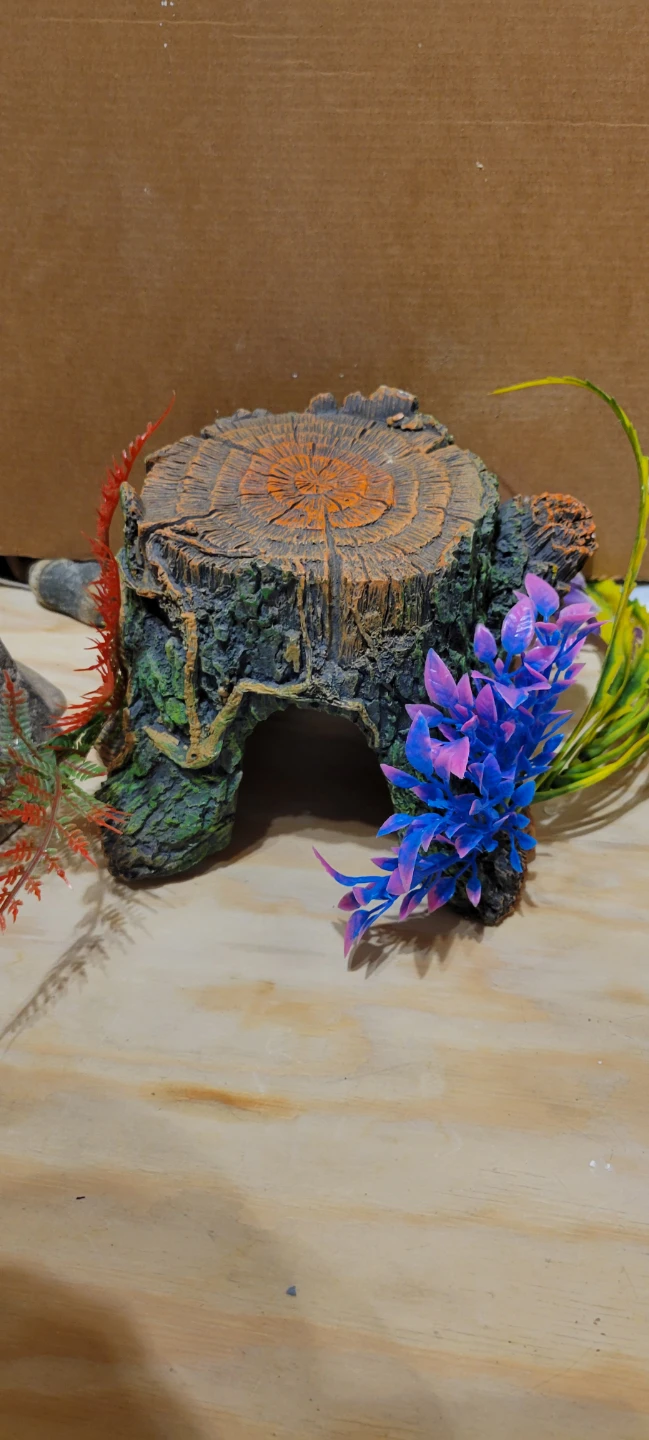 Aquarium Decor Set - photo 4