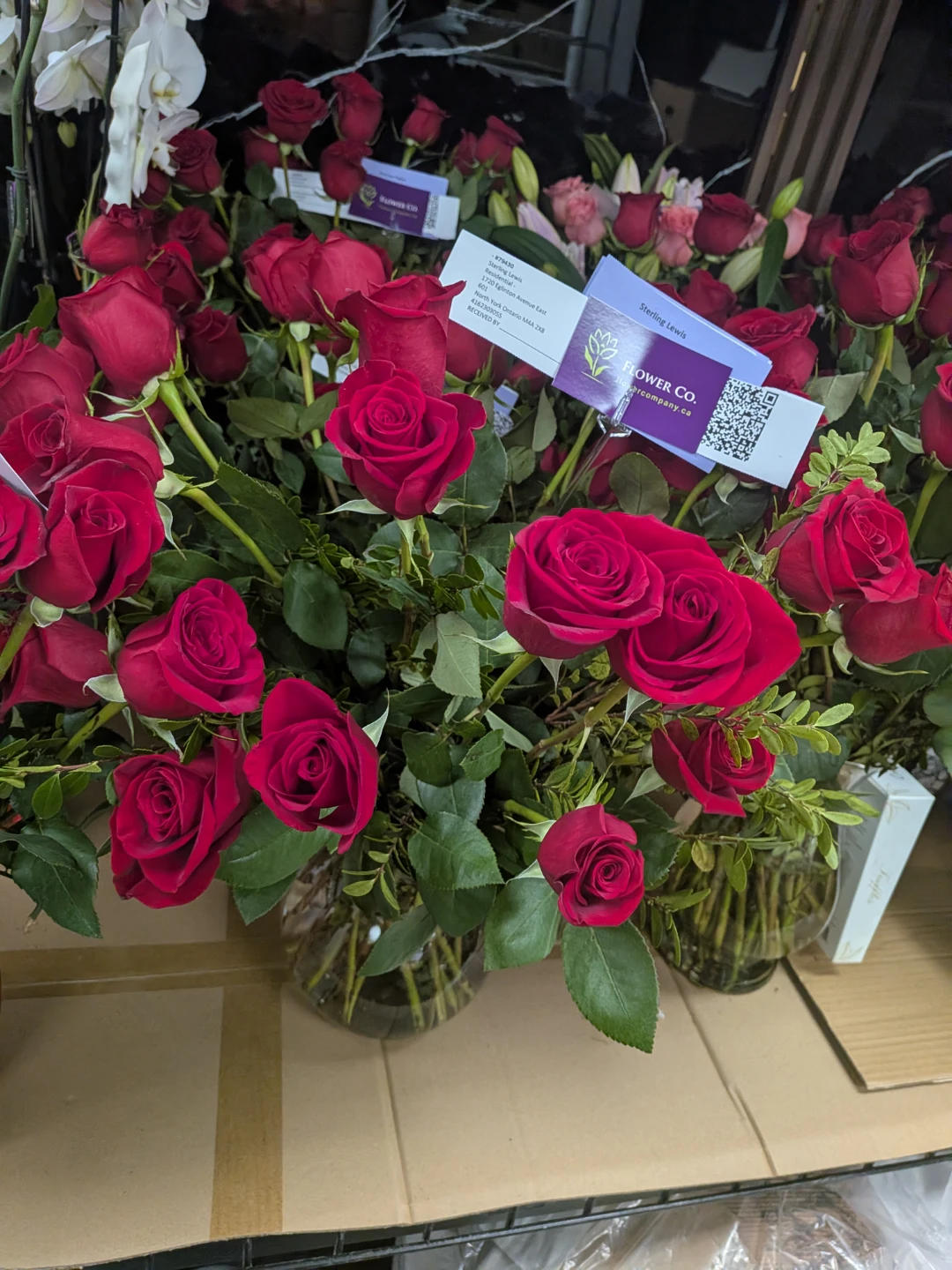 Fresh Red Roses