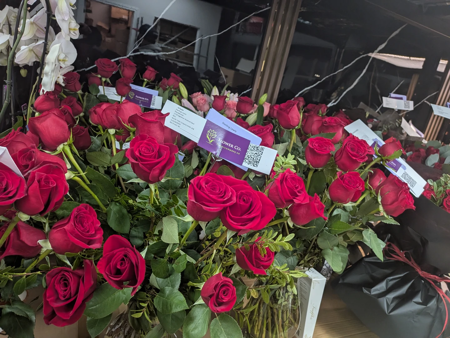 Fresh Red Roses - photo 2