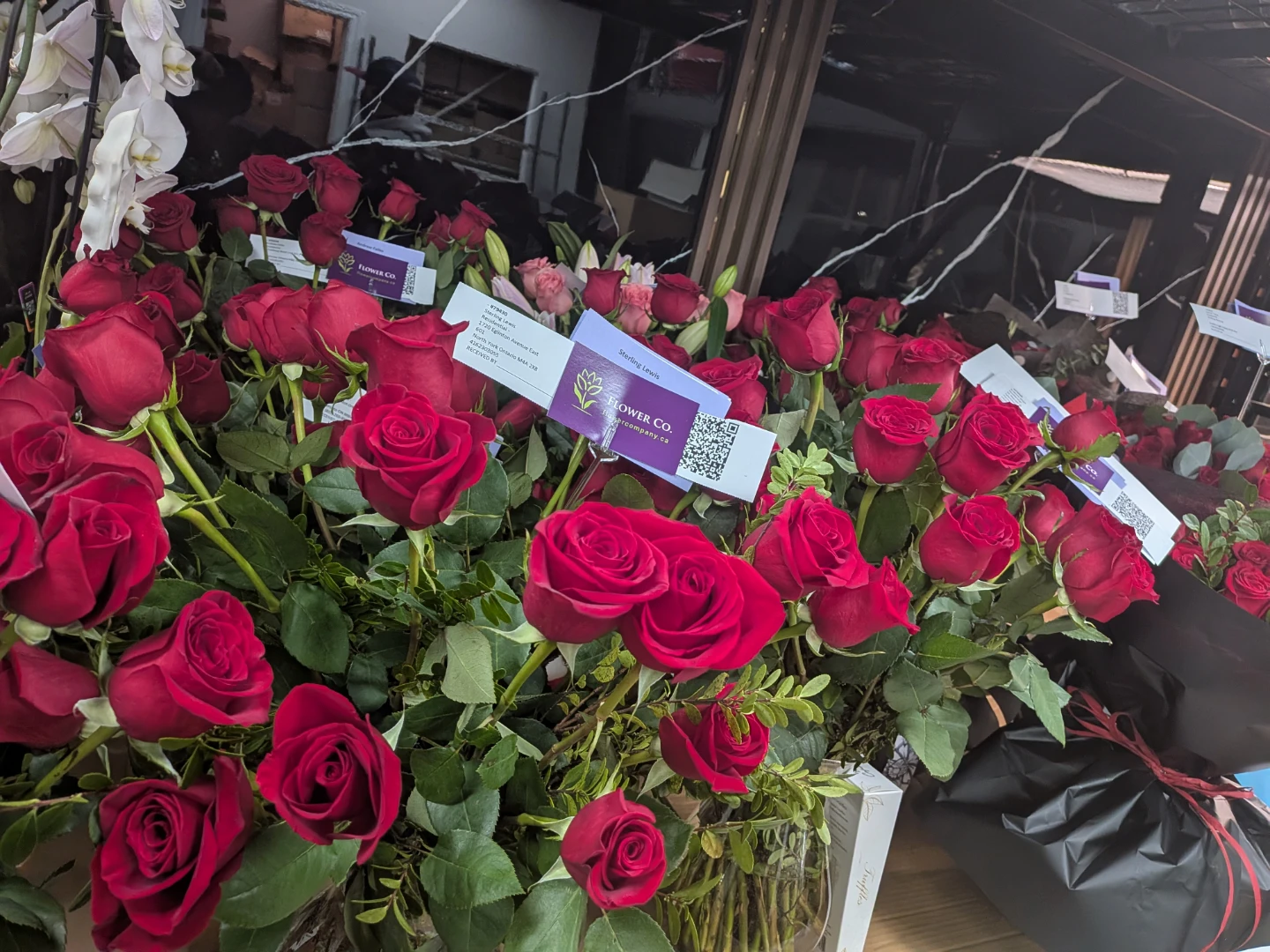 Fresh Red Roses - photo 3