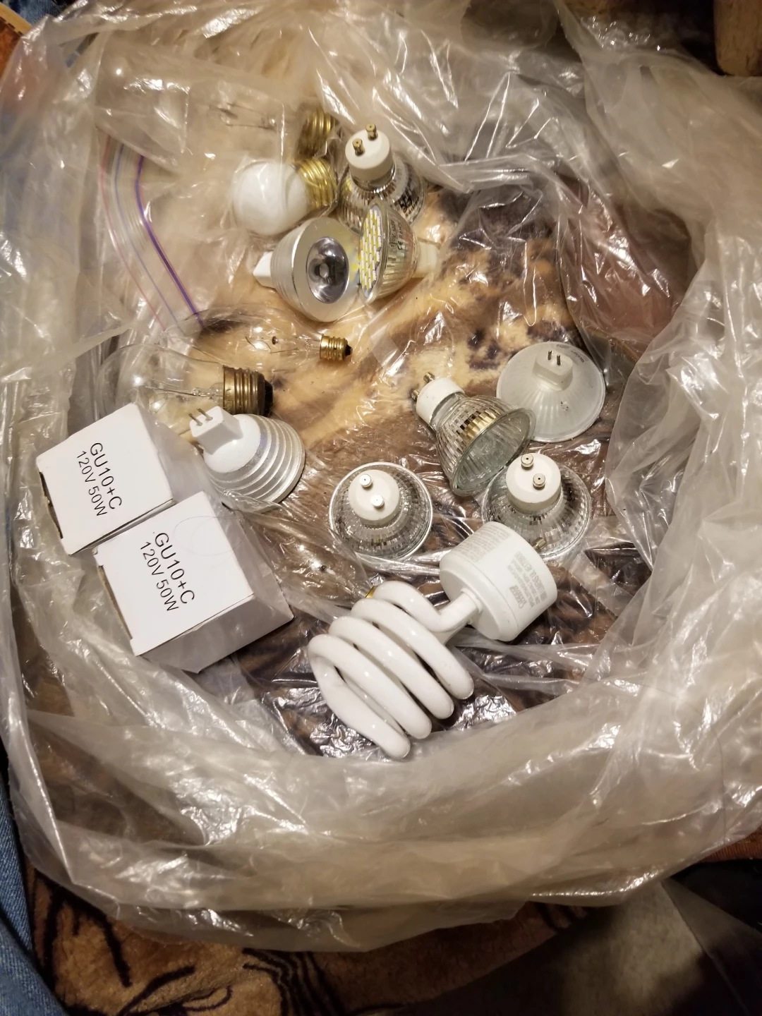 Assorted Light Bulbs FREE