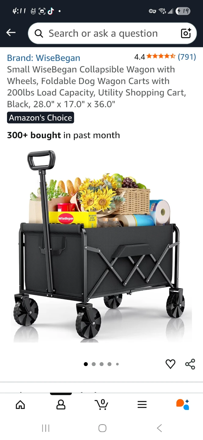 WiseBegin Collapsible Dog Wagon Cart - Black