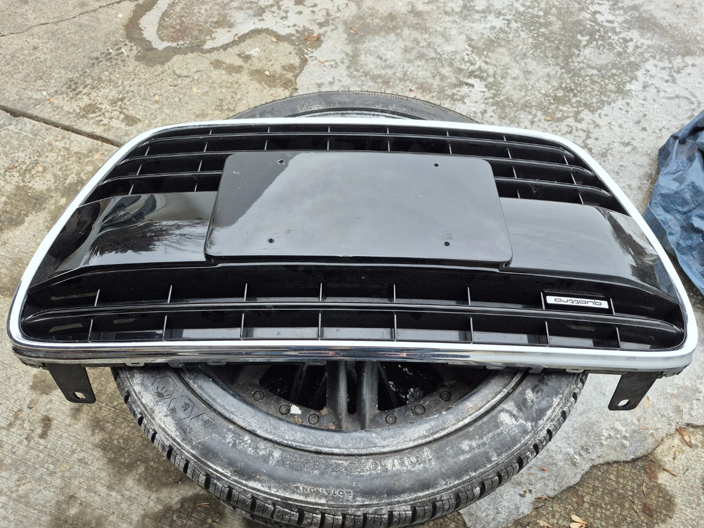 Audi Quattro Front Grille - photo 4