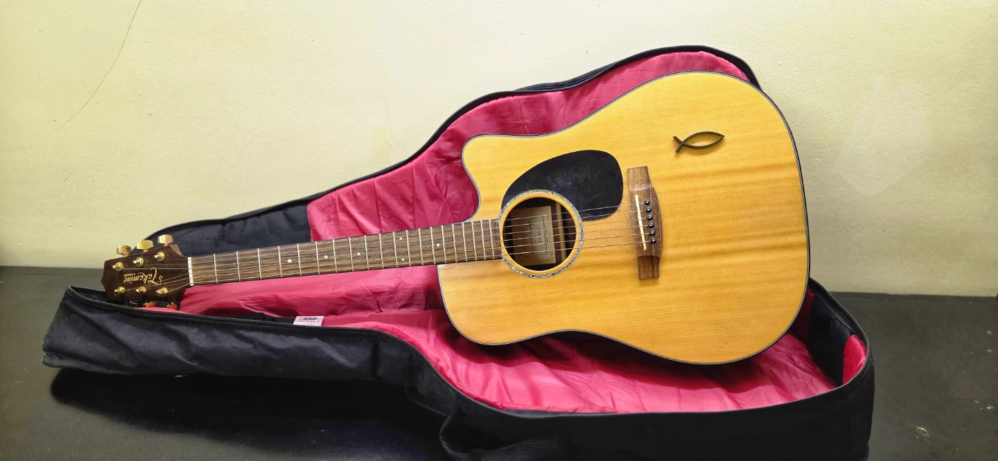 Takamine Acoustic Guitar with Gig Bag, Capo, and Strings