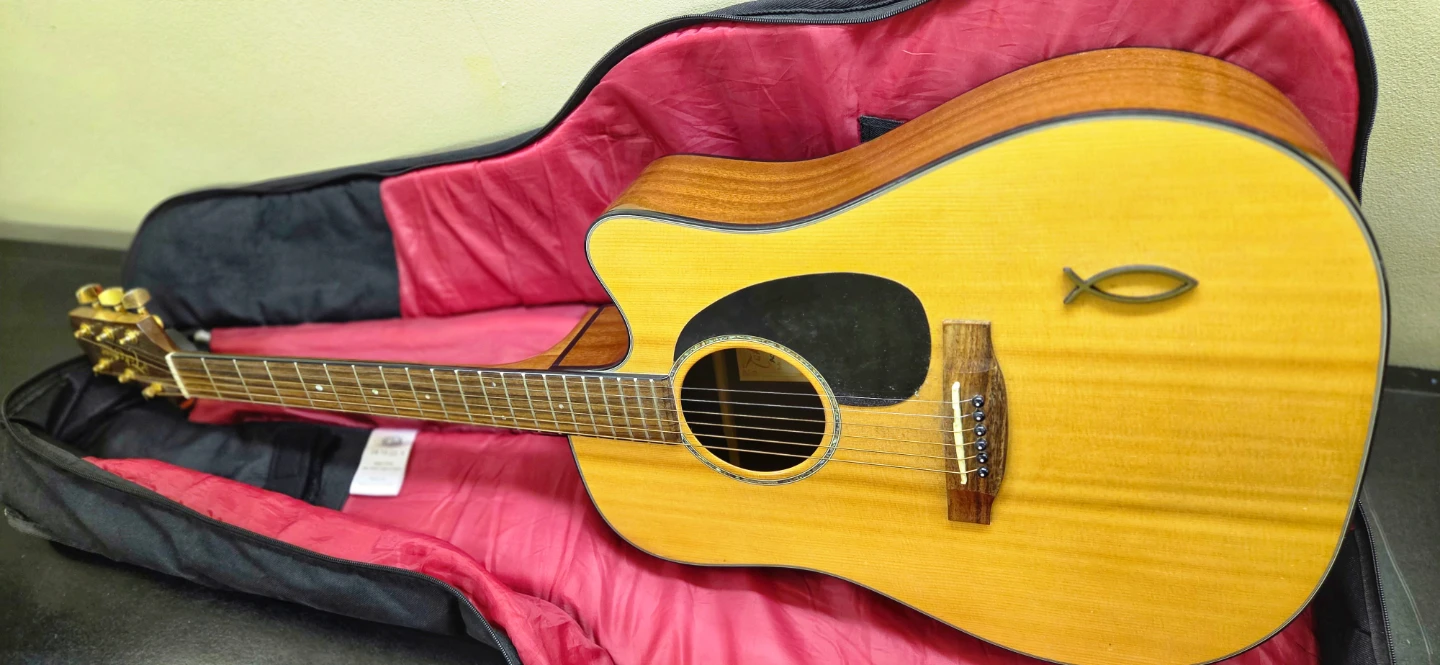Takamine Acoustic Guitar with Gig Bag, Capo, and Strings - photo 2