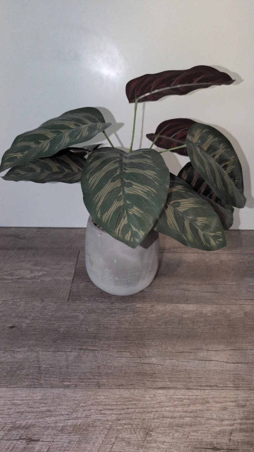 Artificial Calathea Plant in Concrete Pot - photo 2