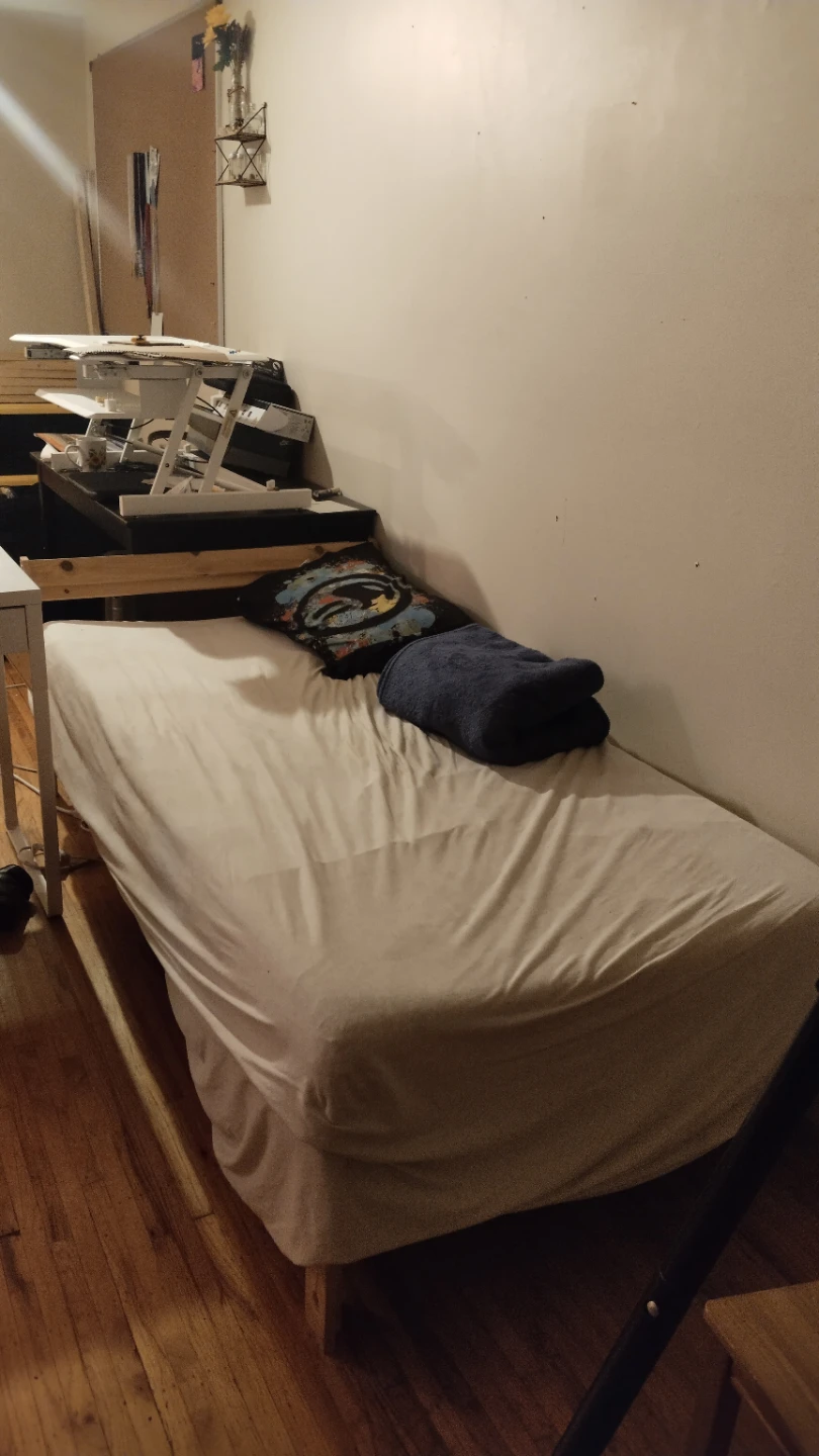 Single Bed Frame with Mattress